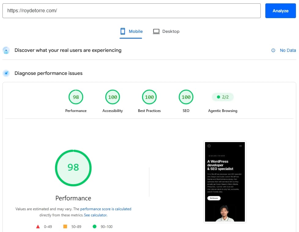 Google PageSpeed Insights mobile report for roydetorre.com