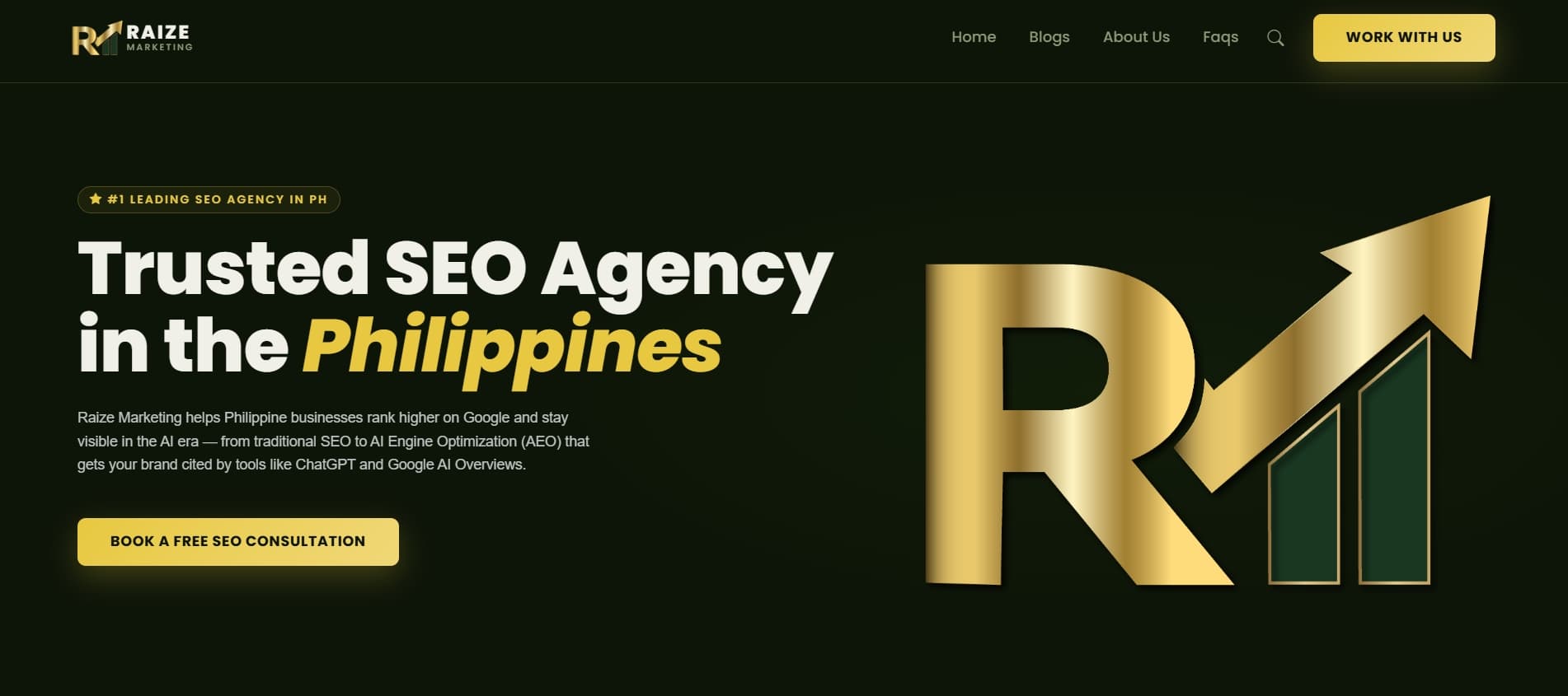 Screenshot of the Raize Marketing website homepage